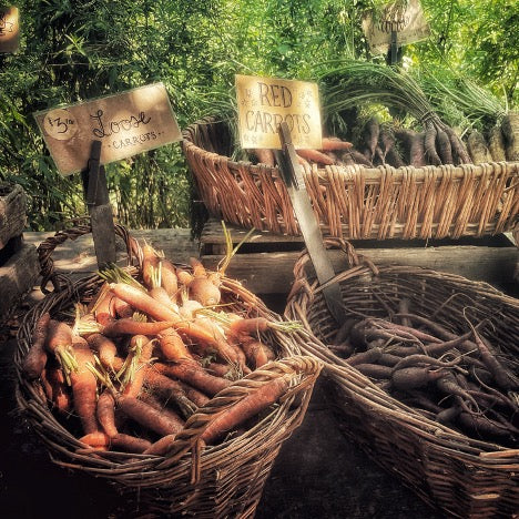 Farmstands & Pit Stops